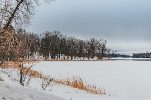 Спасение утопающих зимой: что делать, если вы провалились под лед?